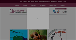 Desktop Screenshot of cmedlabsfoundation.net